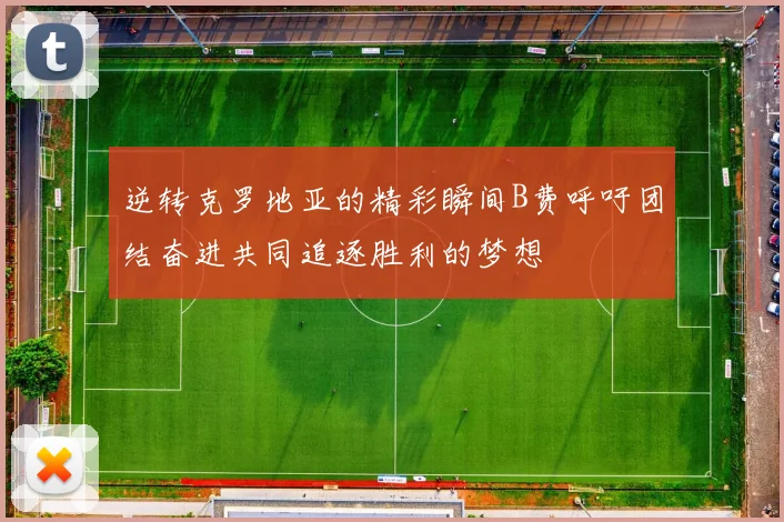 逆转克罗地亚的精彩瞬间B费呼吁团结奋进共同追逐胜利的梦想