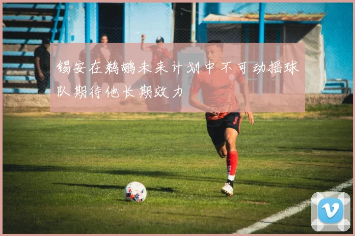 锡安在鹈鹕未来计划中不可动摇球队期待他长期效力